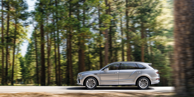 Bentley Paris Seine Bentley Bentayga Extended Wheelbase SUV in Moonbeam paint driving dynamically on a forest road